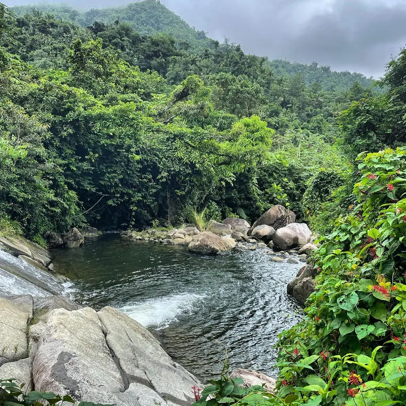El Yunque_mobile