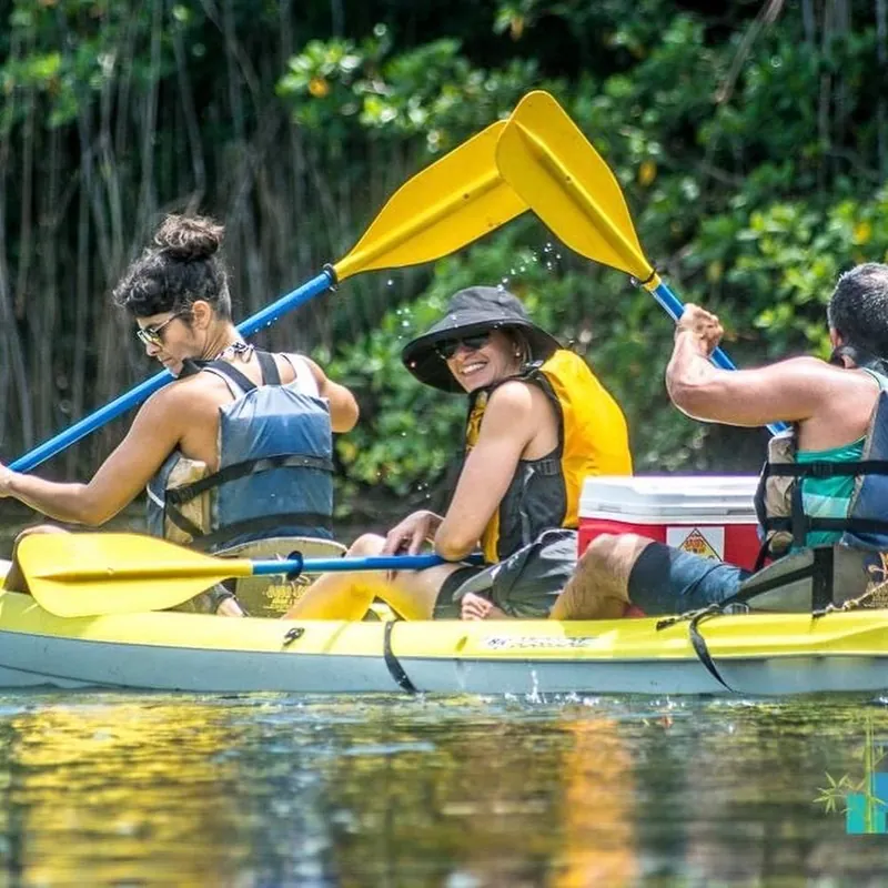 Kayak 2_mobile